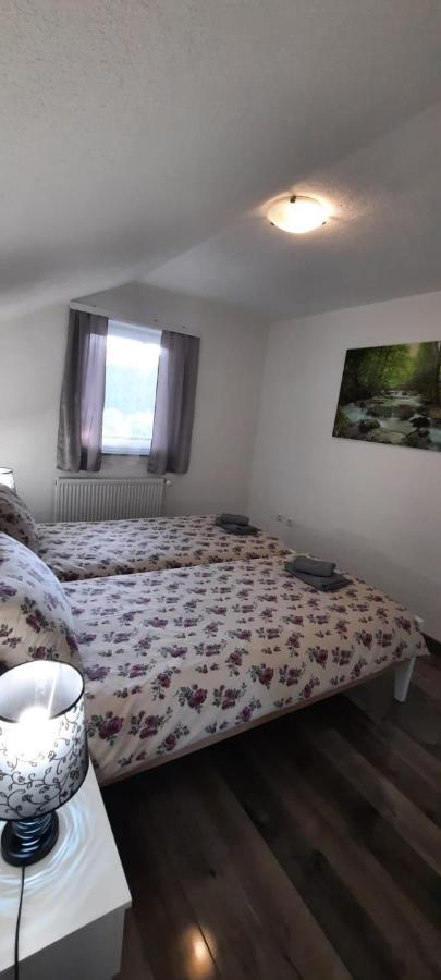 Apartman Karolina Rudanovac Экстерьер фото